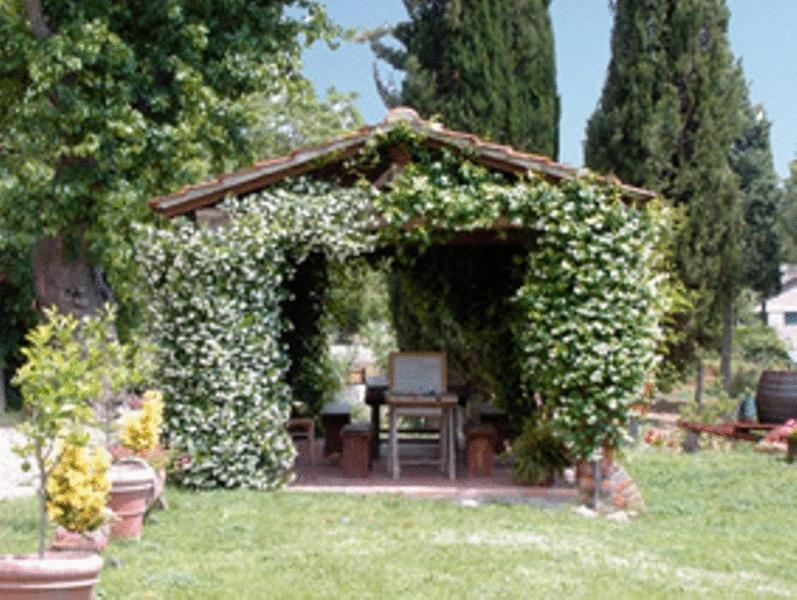 Agriturismo Relais Poggio Primo Borro Экстерьер фото