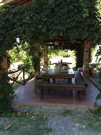 Agriturismo Relais Poggio Primo Borro Экстерьер фото
